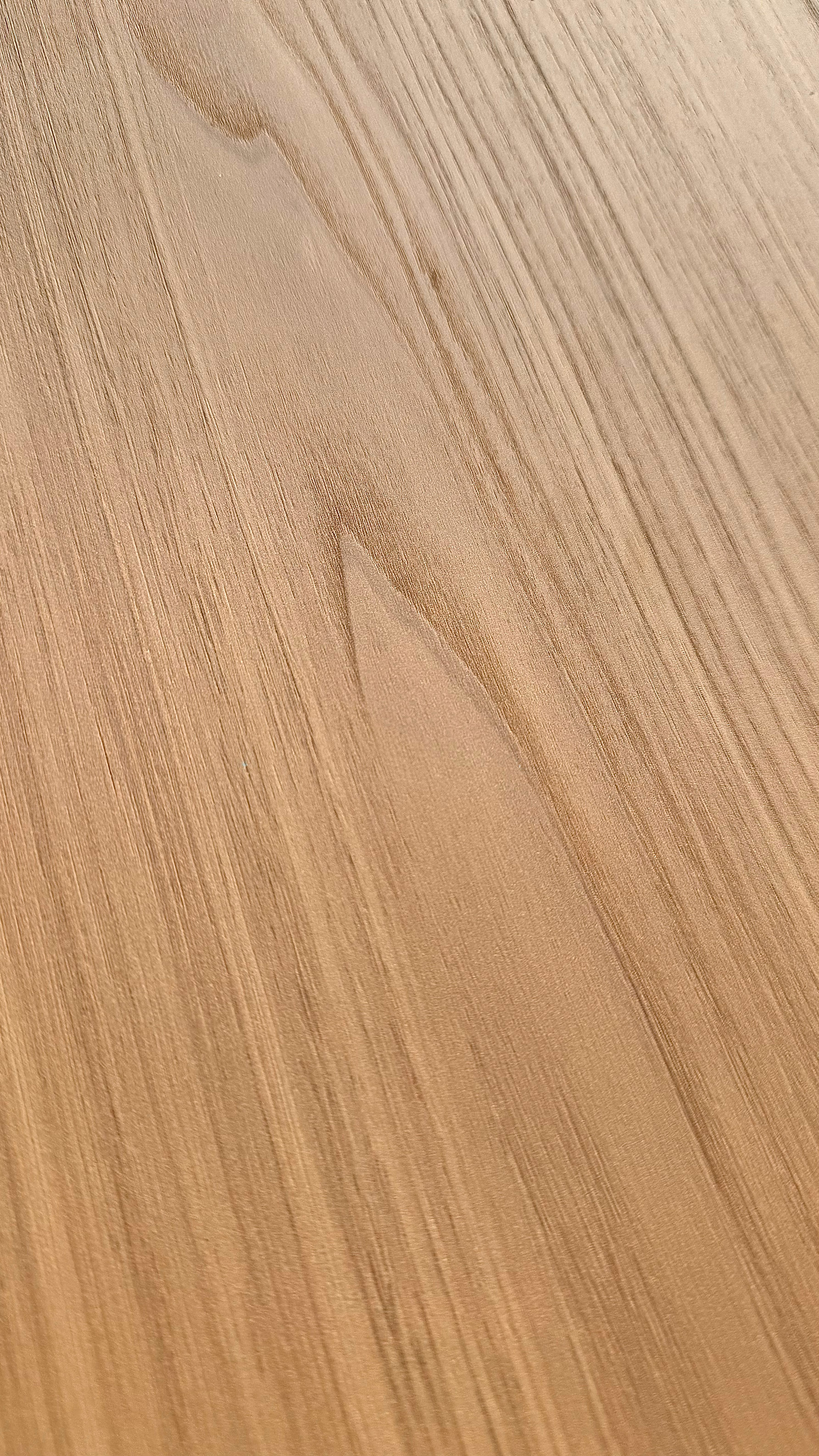安第斯胡桃