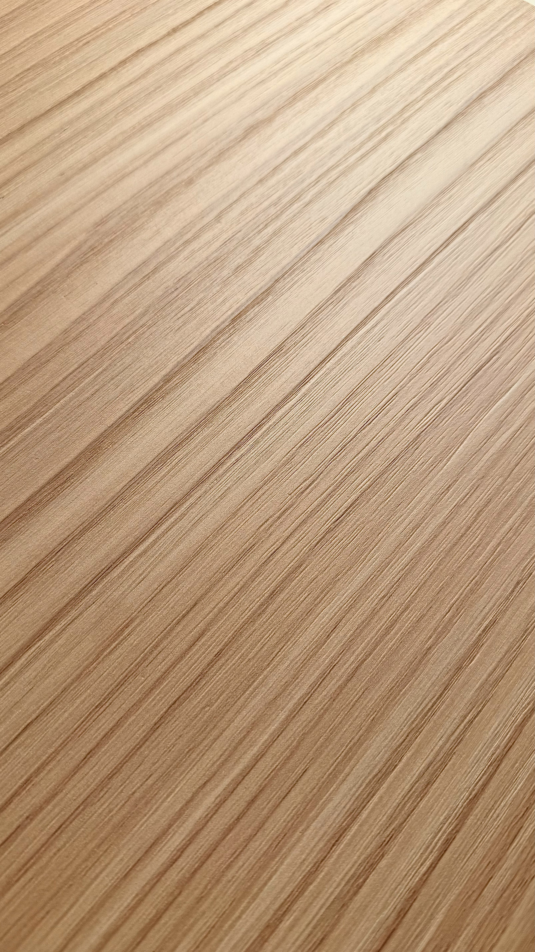 金絲栗木