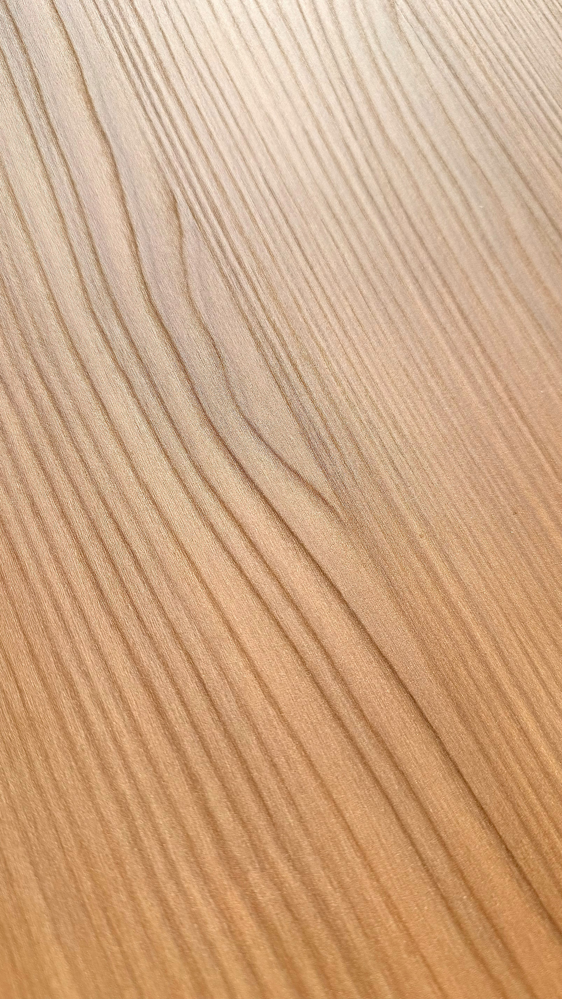 皇家櫻桃