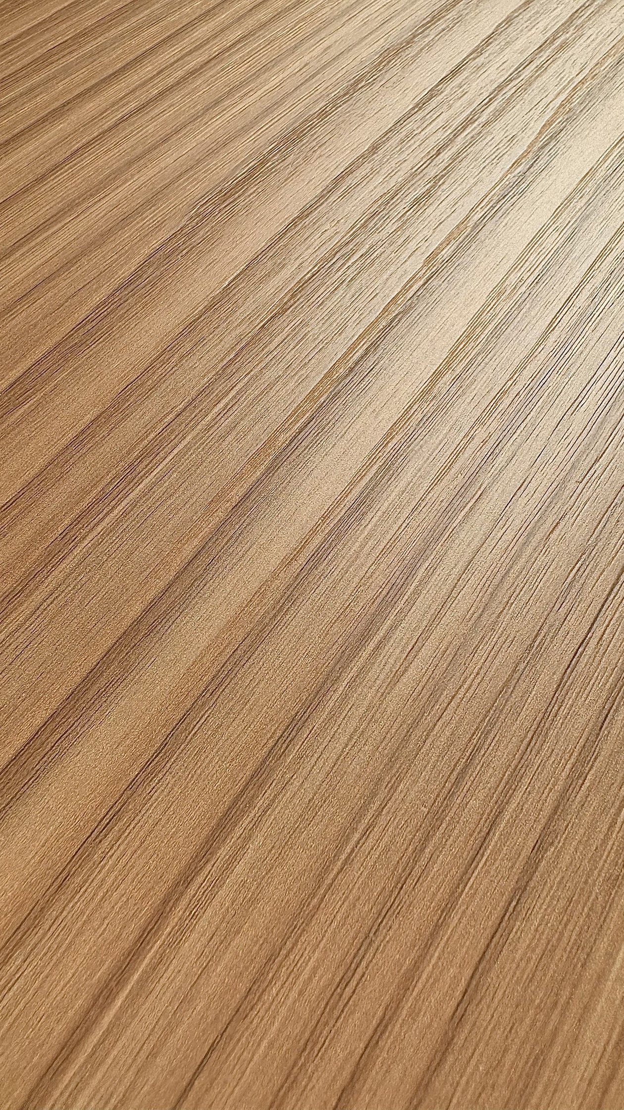 金絲栗木