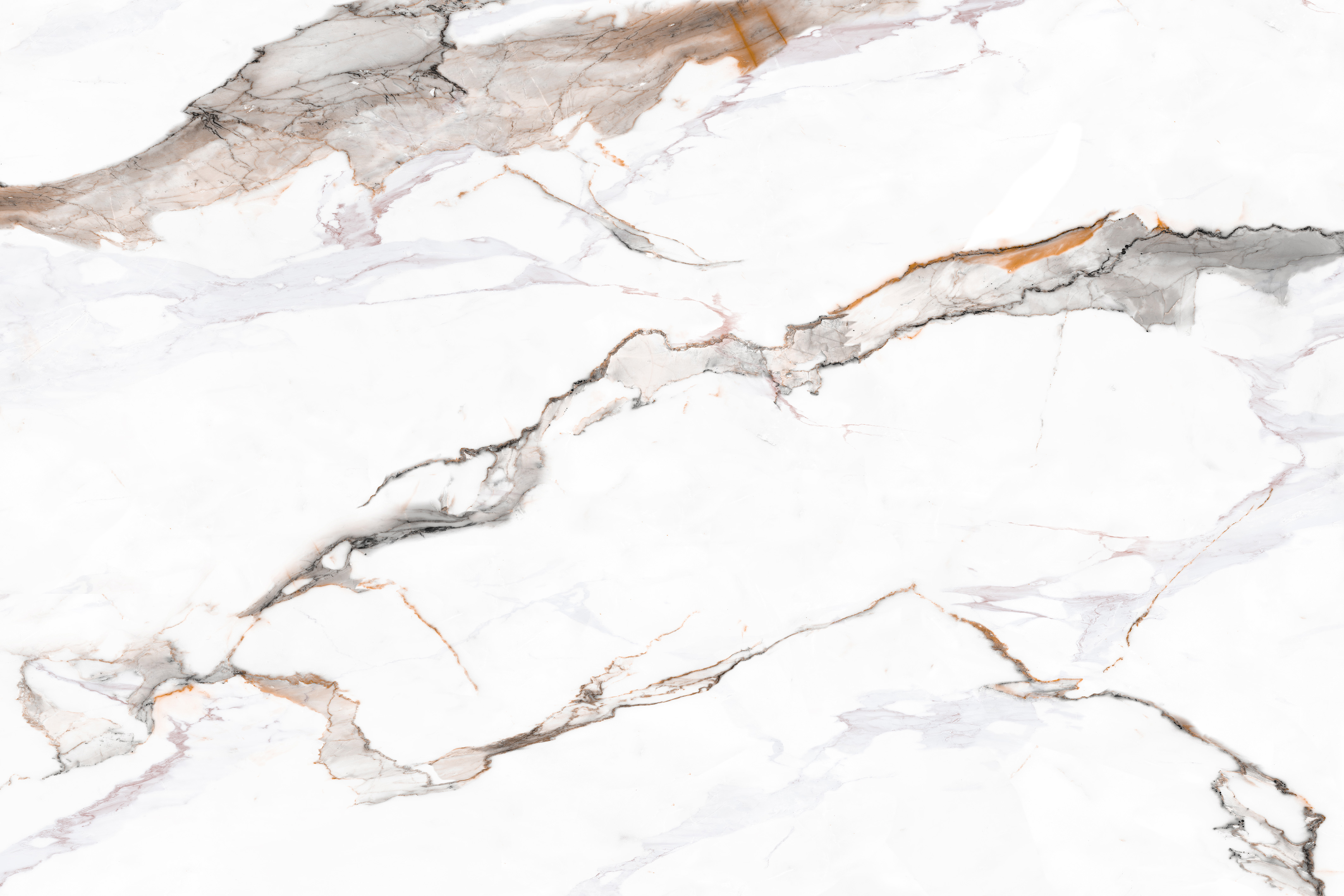 DL122018-1